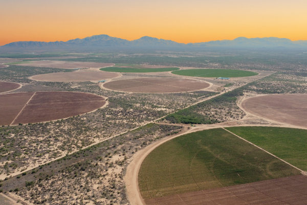 APPLM: una organización gremial al servicio del productor y del desarrollo agrícola en Sinaloa